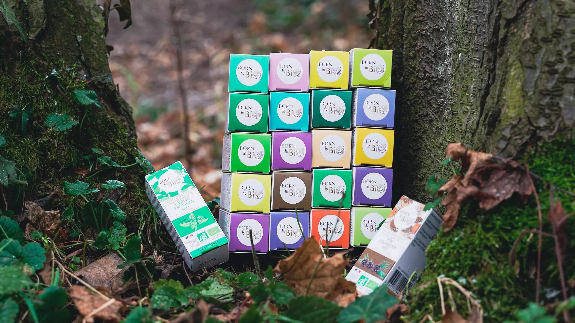 Huiles Essentielles Pures et Bio