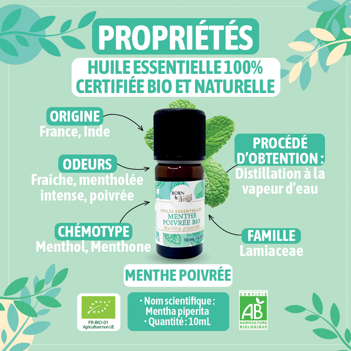 Huile essentielle de Menthe poivrée bio, au parfum frais et intense, obtenue par distillation à la vapeur des parties aériennes. 