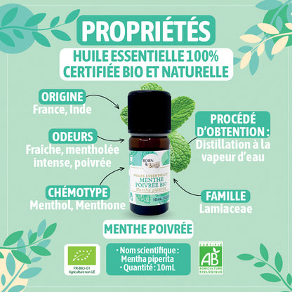 Huile essentielle de Menthe poivrée bio, au parfum frais et intense, obtenue par distillation à la vapeur des parties aériennes. 