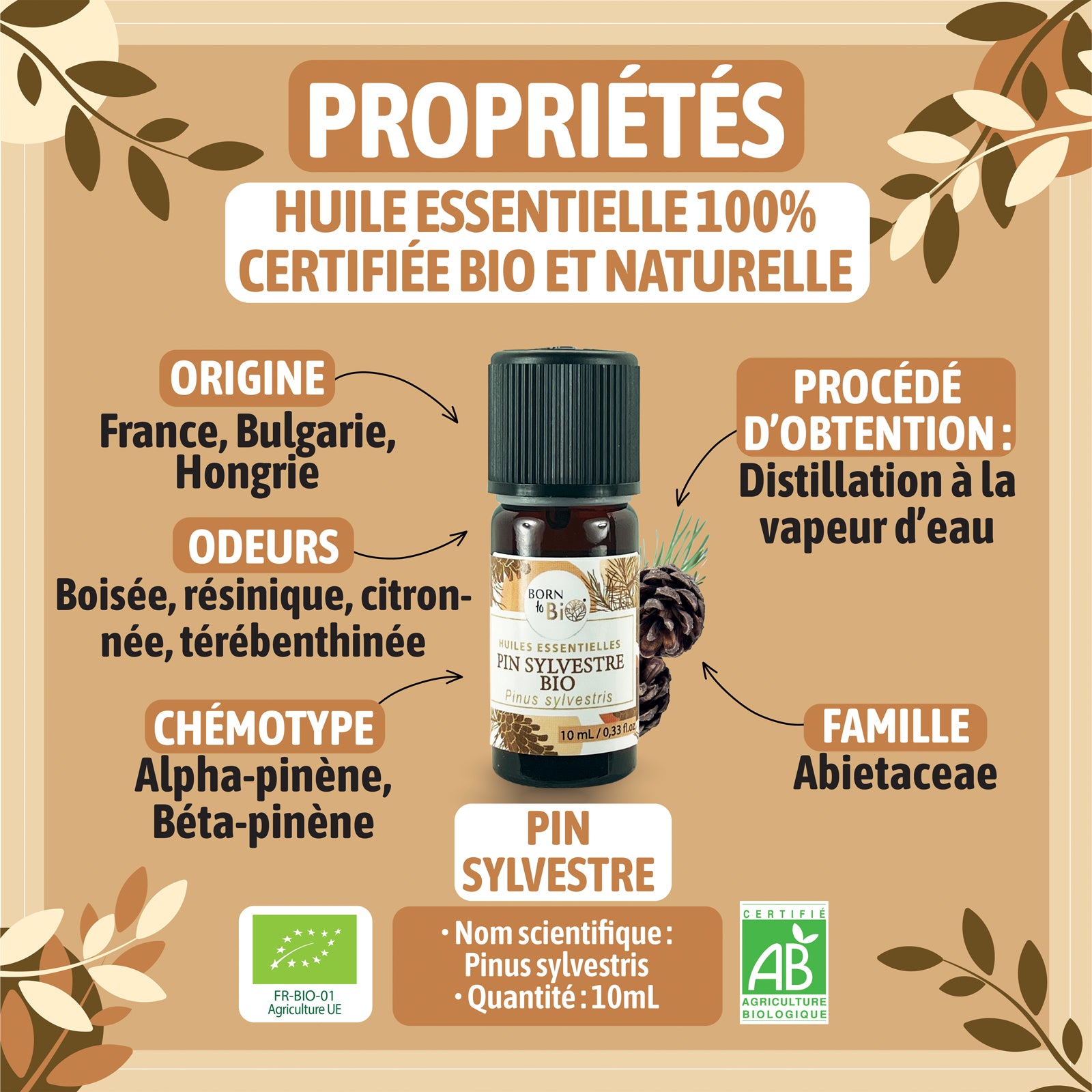 Huile essentielle de Pin sylvestre bio, au parfum frais et résineux, obtenue par distillation des aiguilles.