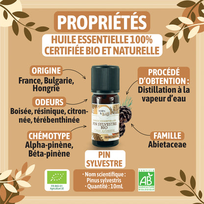Huile essentielle de Pin sylvestre bio, au parfum frais et résineux, obtenue par distillation des aiguilles.