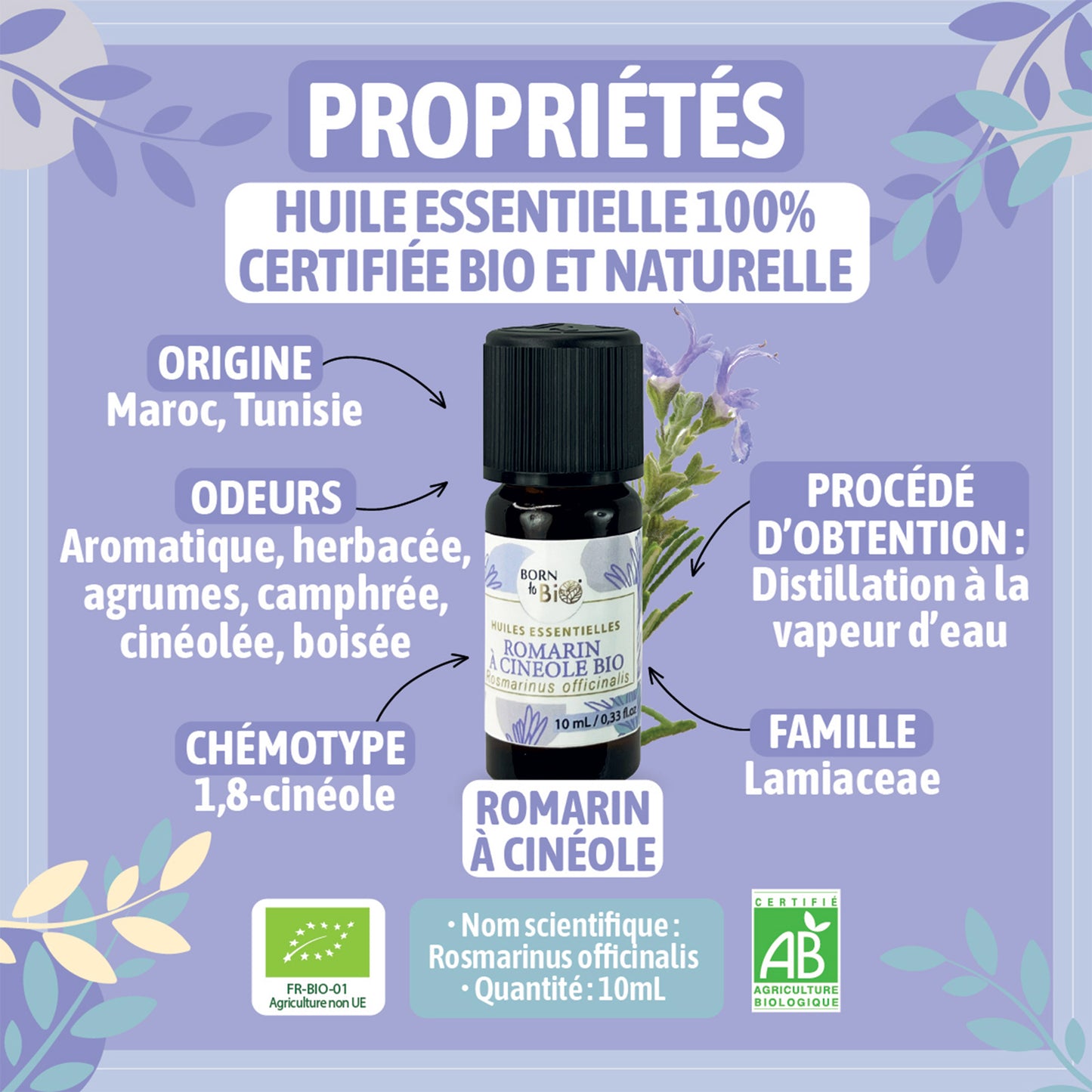 Huile essentielle de Romarin à cinéole bio, à l’arôme frais et camphré, obtenue par distillation à la vapeur des sommités fleuries. 