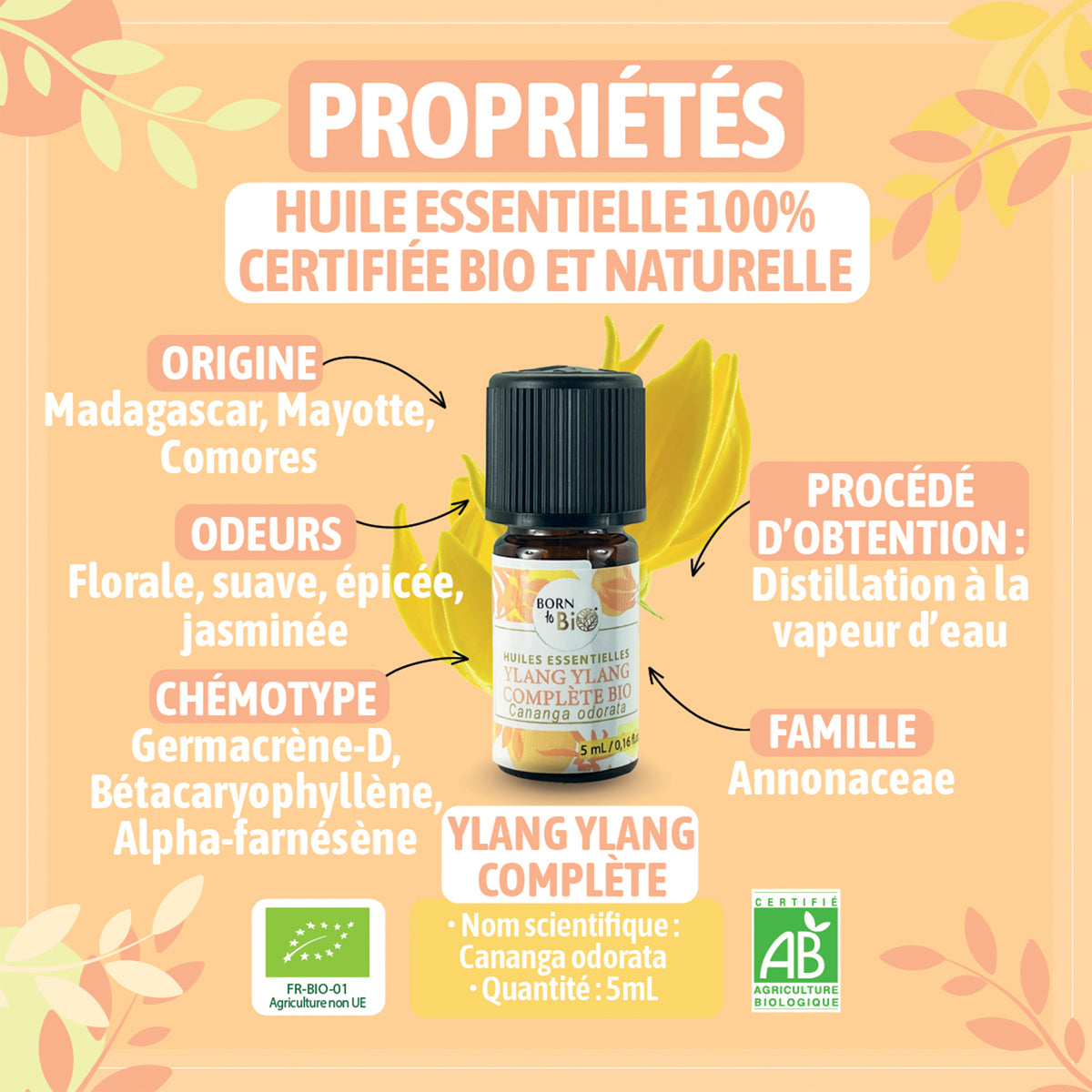 Huile essentielle d’Ylang-Ylang complète bio, à l’arôme floral et exotique, obtenue par distillation des fleurs fraîches. 
