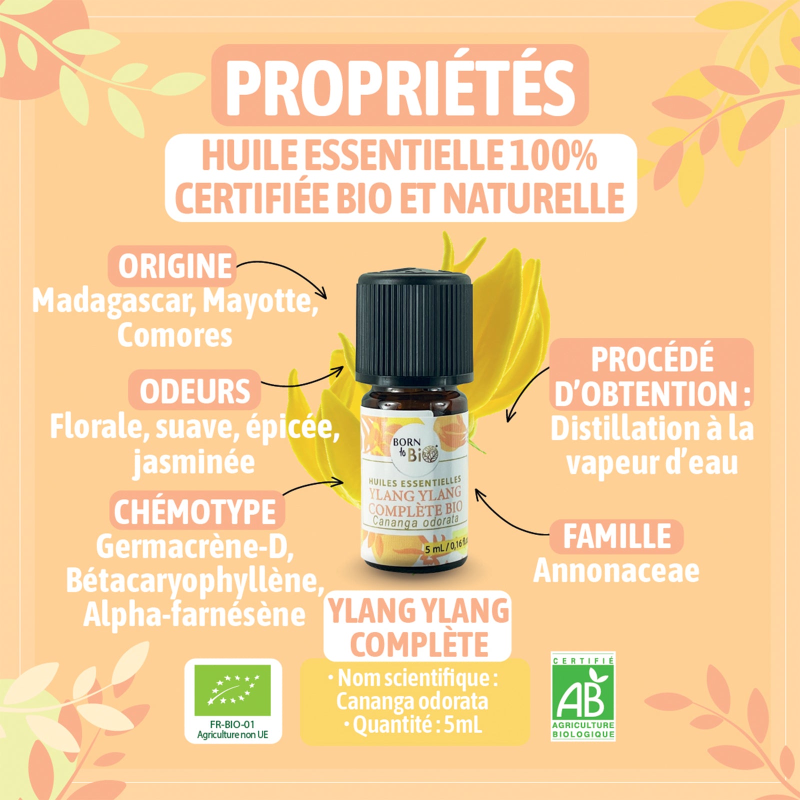 Huile essentielle d’Ylang-Ylang complète bio, à l’arôme floral et exotique, obtenue par distillation des fleurs fraîches. 