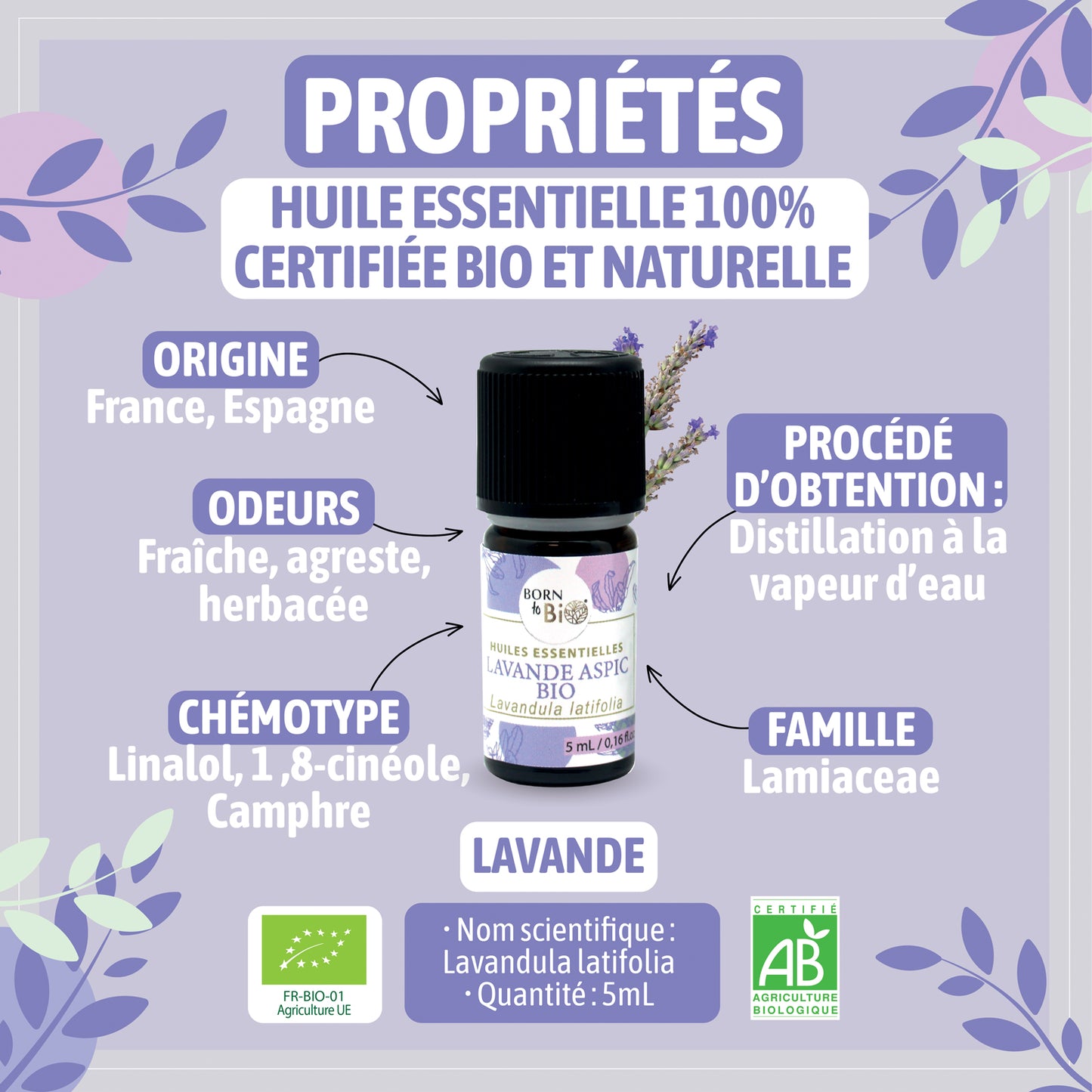 Huile essentielle de Lavande aspic bio, au parfum camphré et floral, obtenue par distillation des sommités fleuries. 