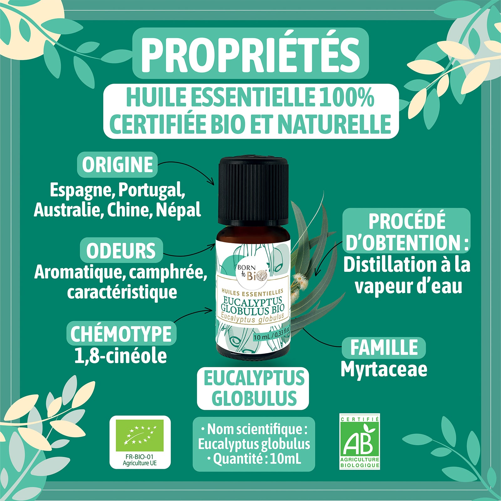 Huile essentielle d’Eucalyptus globulus Bio, au parfum frais et camphré, obtenue par distillation à la vapeur des feuilles.