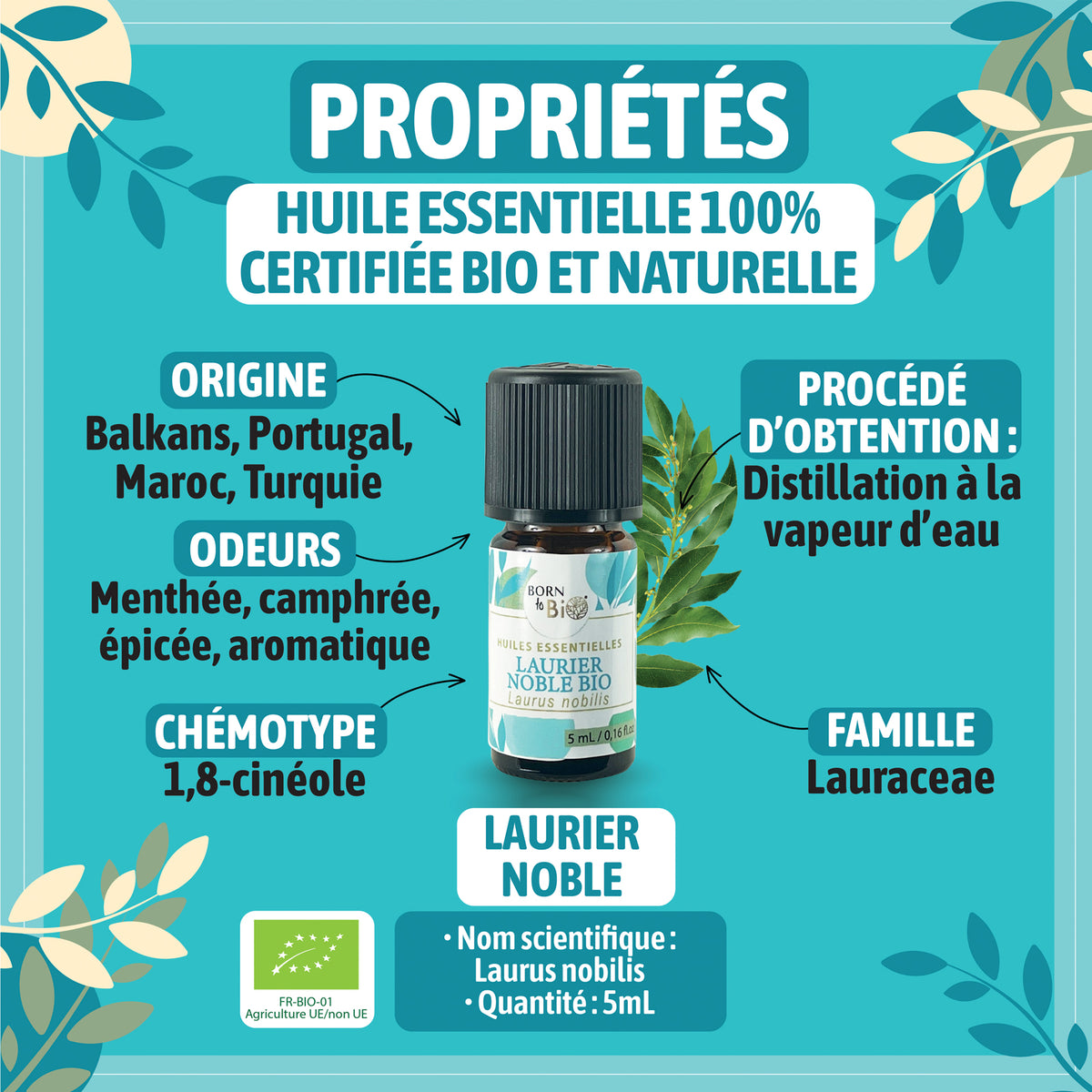 Huile essentielle de Laurier noble bio, à l’arôme puissant et épicé, obtenue par distillation à la vapeur des feuilles.