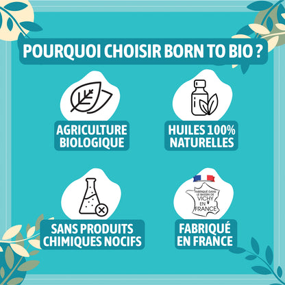 Huile essentielle de Laurier noble bio, à l’arôme puissant et épicé, obtenue par distillation à la vapeur des feuilles.