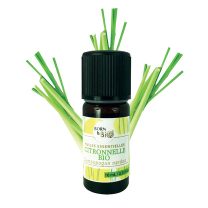 Huile essentielle de Citronnelle bio, à l’arôme frais et citronné, obtenue par distillation à la vapeur des parties aériennes.