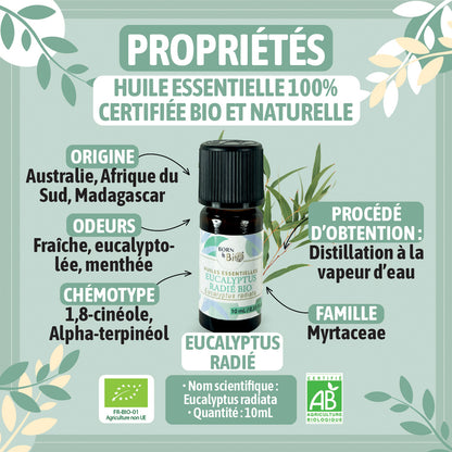 Huile essentielle d’Eucalyptus radié bio, au parfum frais et doux, obtenue par distillation à la vapeur des feuilles.