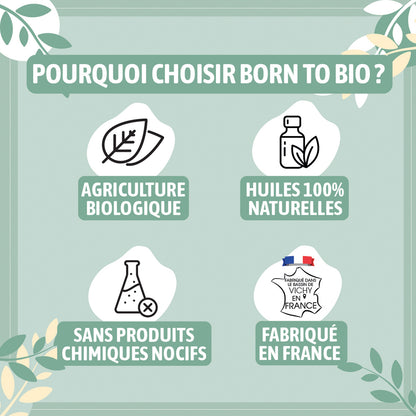 Huile essentielle d’Eucalyptus radié bio, au parfum frais et doux, obtenue par distillation à la vapeur des feuilles.