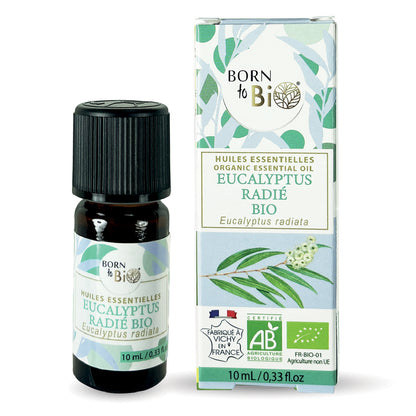Huile essentielle d’Eucalyptus radié bio, au parfum frais et doux, obtenue par distillation à la vapeur des feuilles.