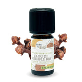 Organic Clove Essential Oil