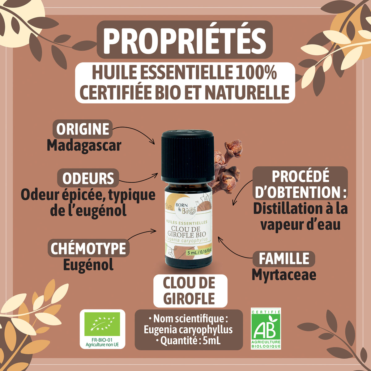 Huile essentielle de Clou de girofle bio, au parfum chaud et épicé, obtenue par distillation à la vapeur des boutons floraux.