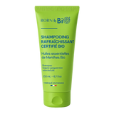 Spearmint Refreshing Shampoo – Certified Organic