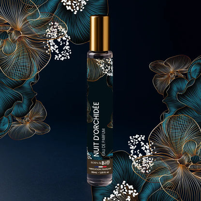 Orchid Night – Mysterious Elegance