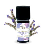 Organic Lavandula Spica (Spike Lavender) essential oil
