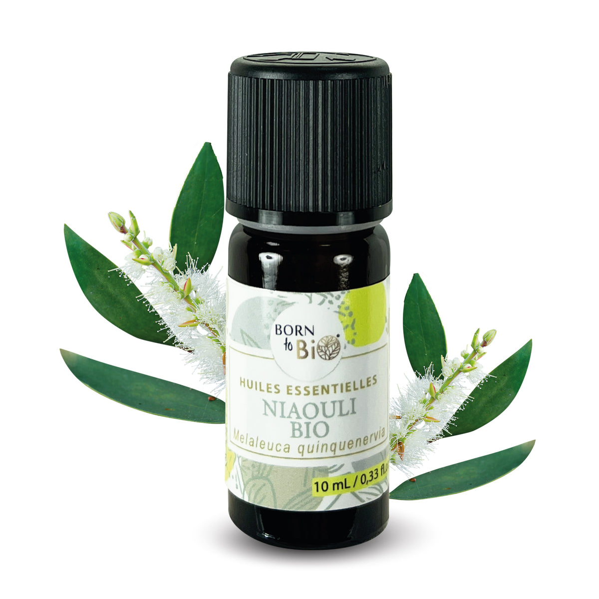 Huile essentielle de Niaouli bio, au parfum frais et camphré, obtenue par distillation à la vapeur des feuilles.