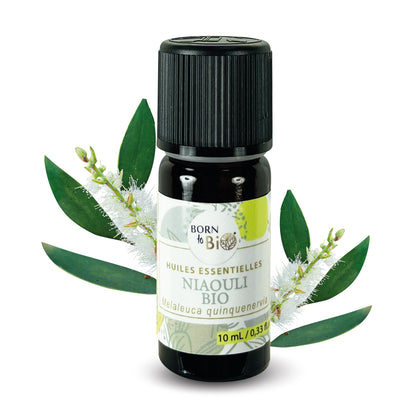 Huile essentielle de Niaouli bio, au parfum frais et camphré, obtenue par distillation à la vapeur des feuilles.