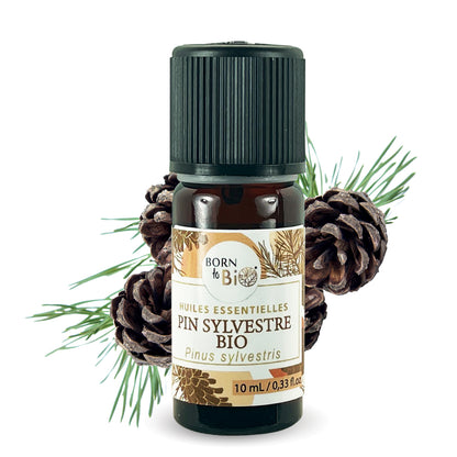 Huile essentielle de Pin sylvestre bio, au parfum frais et résineux, obtenue par distillation des aiguilles.