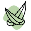 Extrait d’aloe vera  Bio