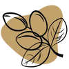 Extrait d’argan Bio