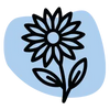 Eau florale de bleuet bio (Centaurea cyanus)