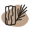 Extrait d’écorce de pin bio (Pinus sylvestris)
