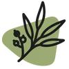 Eucalyptus citronné