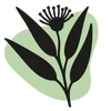 Eucalyptus globulus (vaporisation)