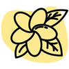 Extrait de fleur de tiaré