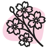 Parfum fleurs de cerisier