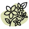 Parfum fleurs de tiaré, jasmin, fleur d’oranger