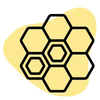Miel d’acacia Bio