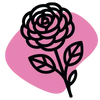 Hydrolat de rose de Damas Bio