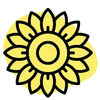 Huile de tournesol Bio