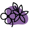 Parfum violette & jasmin