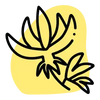 Ylang ylang