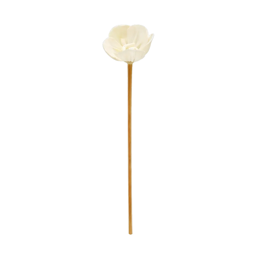 Bâtonnets Diffuseur Rotin Pivoine
