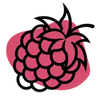 Vinaigre de framboise