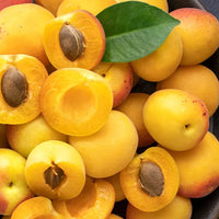 Abricot – Fruité