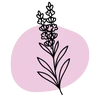 Lavandin