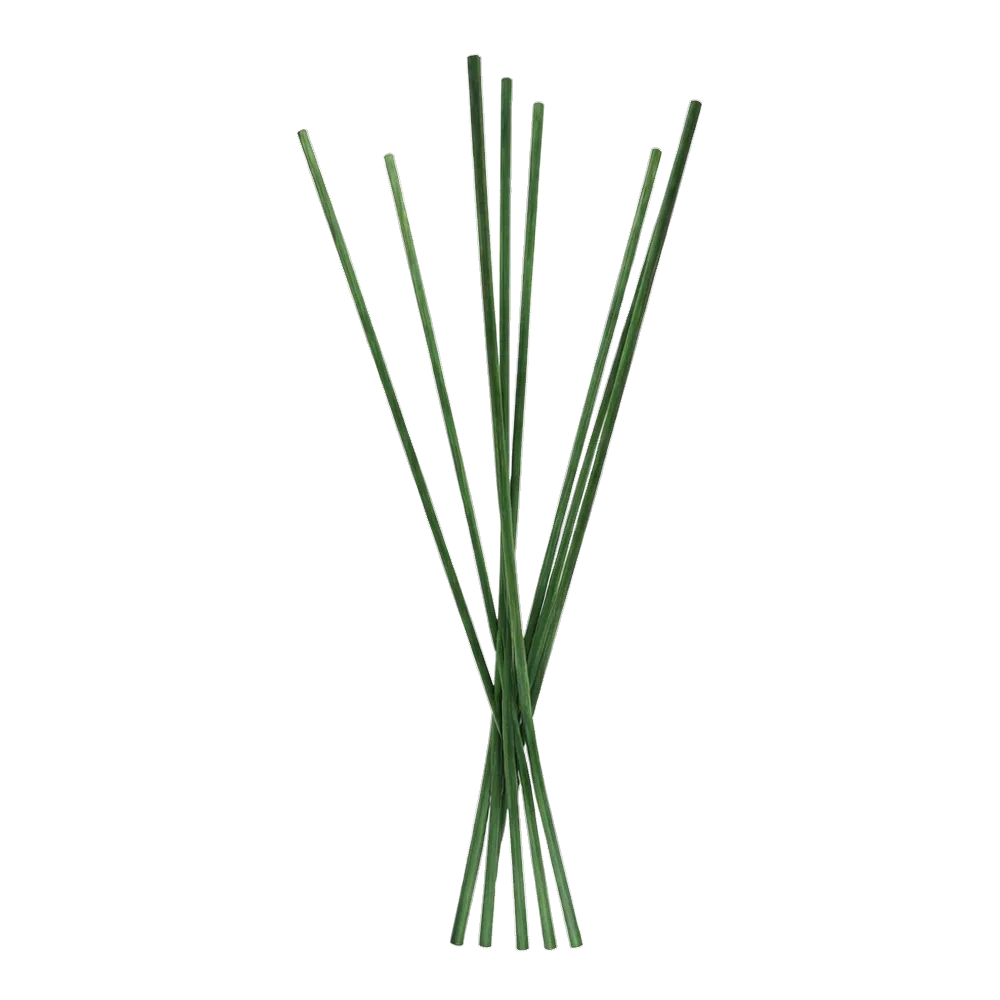 8 Coloured Diffuser Reeds