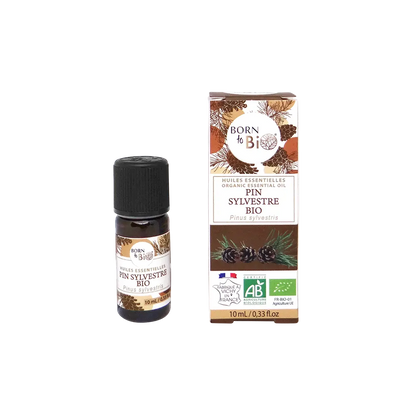 Huile essentielle de Pin sylvestre bio, au parfum frais et résineux, obtenue par distillation des aiguilles. 