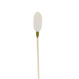Fleur de saule japonais – Bâtonnet diffuseur en rotin
