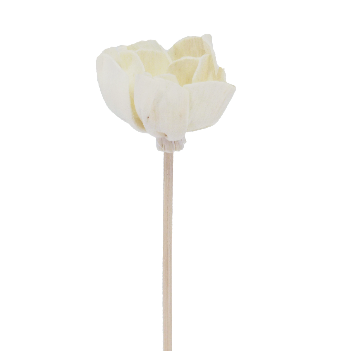 BATONNET DIFFUSEUR EN ROTIN FLEUR 23 CM