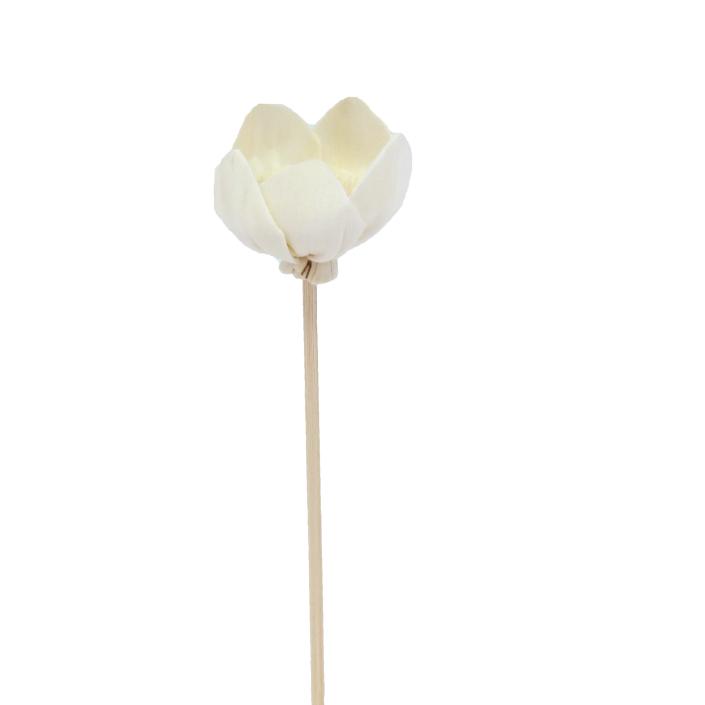FLEUR DE NARCISSE  - BATONNET DIFFUSEUR EN ROTIN FLEUR 23 CM