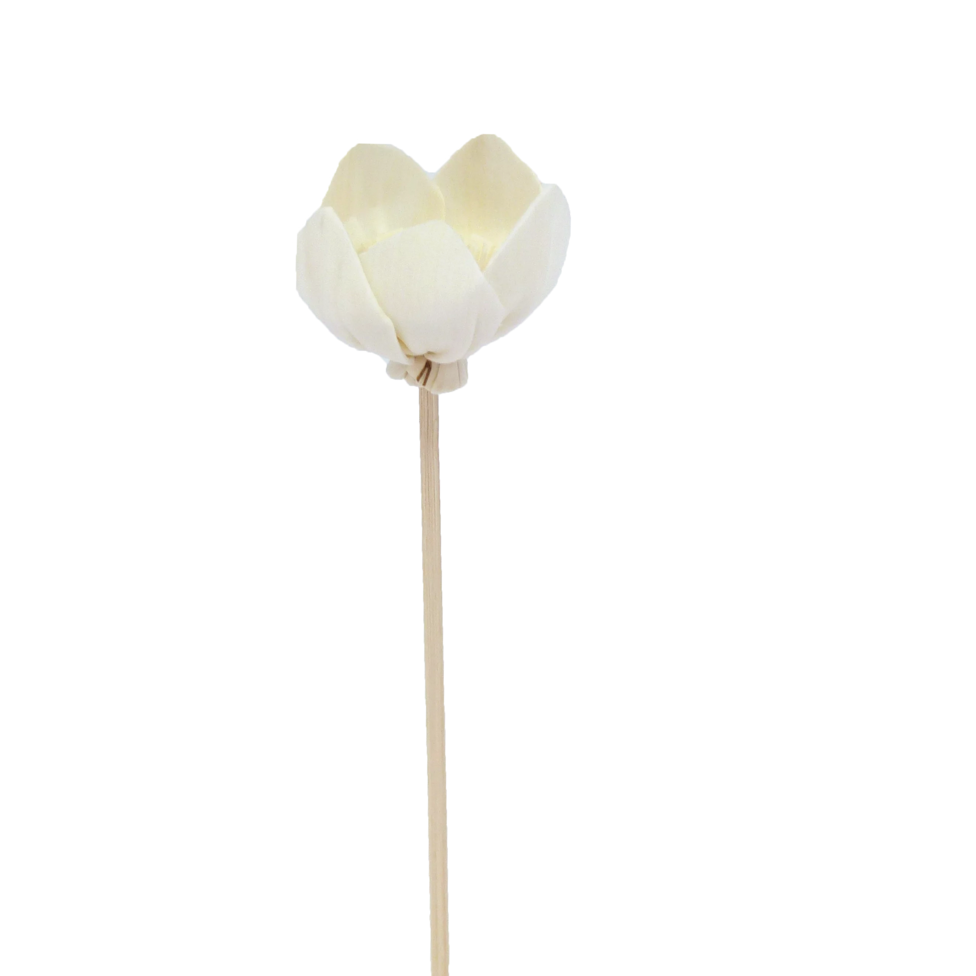 FLEUR DE NARCISSE  - BATONNET DIFFUSEUR EN ROTIN FLEUR 23 CM