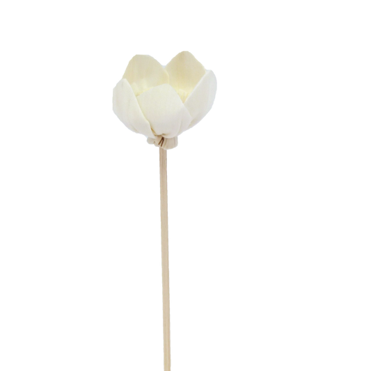 FLEUR DE NARCISSE  - BATONNET DIFFUSEUR EN ROTIN FLEUR 23 CM