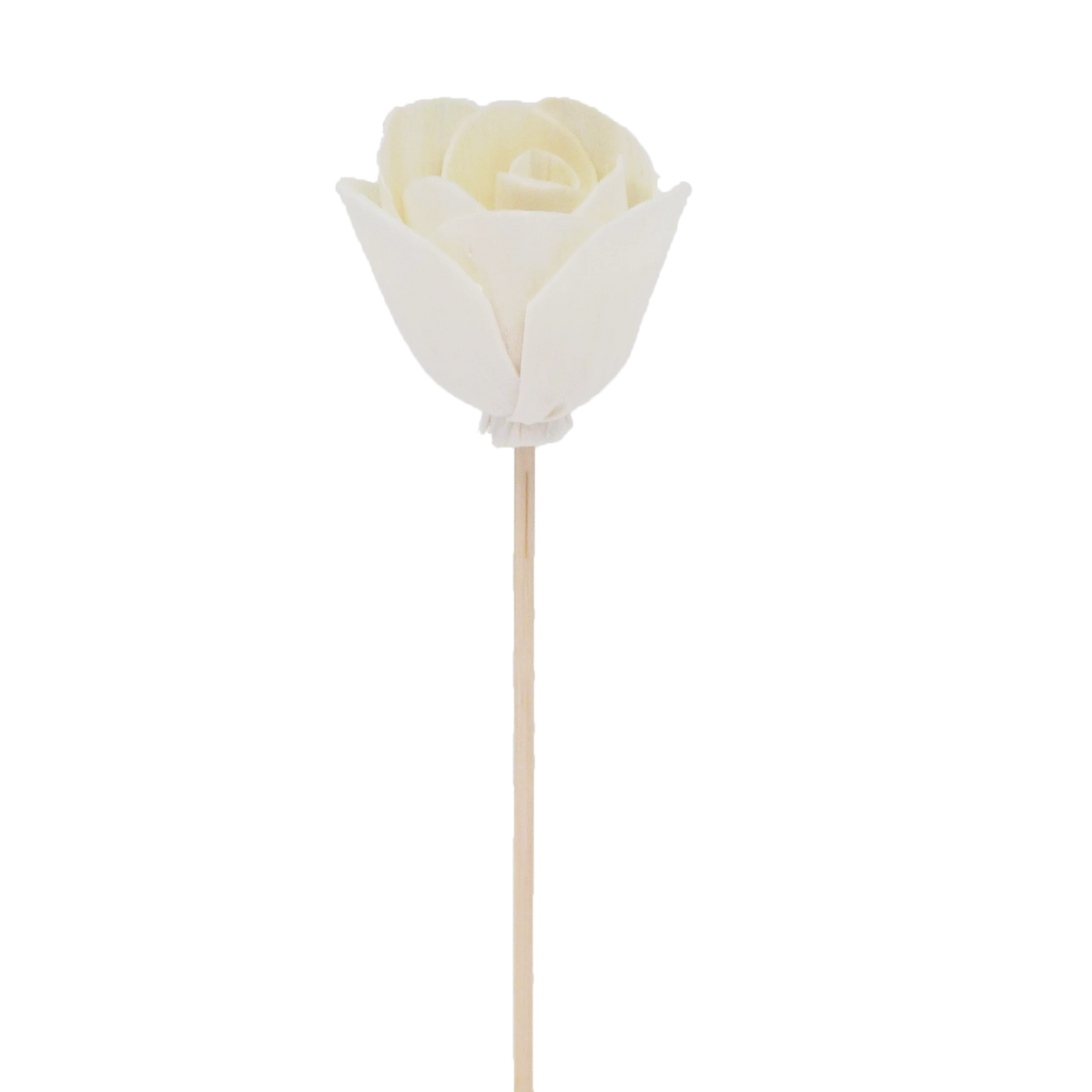 tulipe a fleur de pivoine  - batonnet diffuseur en rotin fleur